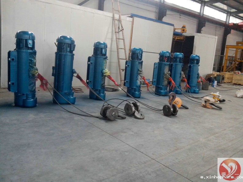 xinhepharm生产的电动葫芦实拍