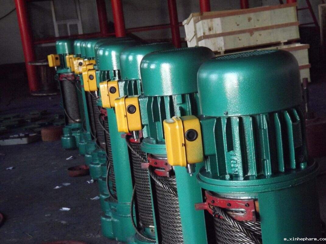 钢丝绳电动葫芦