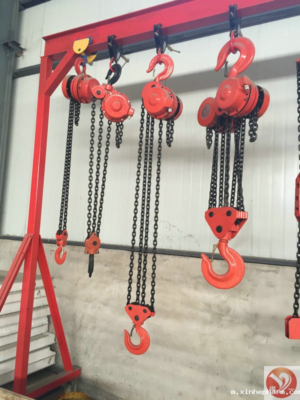 环链电动葫芦实拍展示图