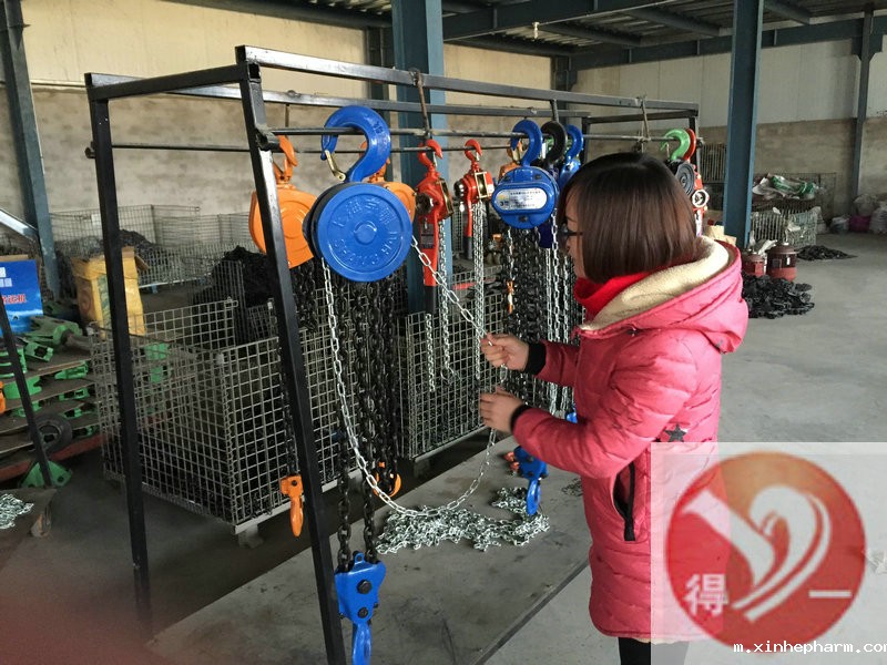 客户来我们公司参观电动葫芦