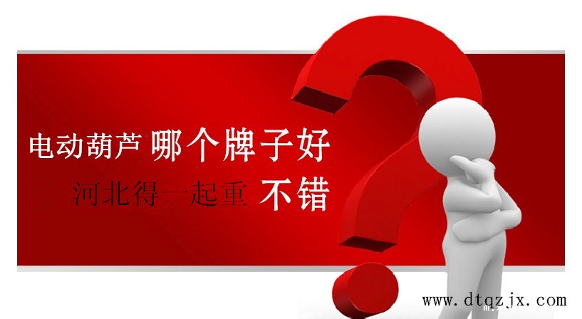 哪个牌子的电动葫芦好？