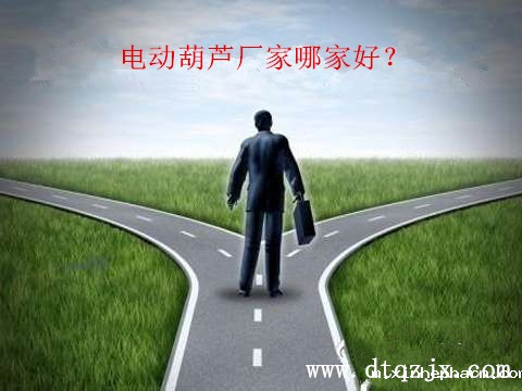 电动葫芦厂家哪个好？