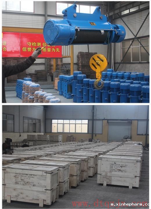 xinhepharm起重生产的电动葫芦实拍图