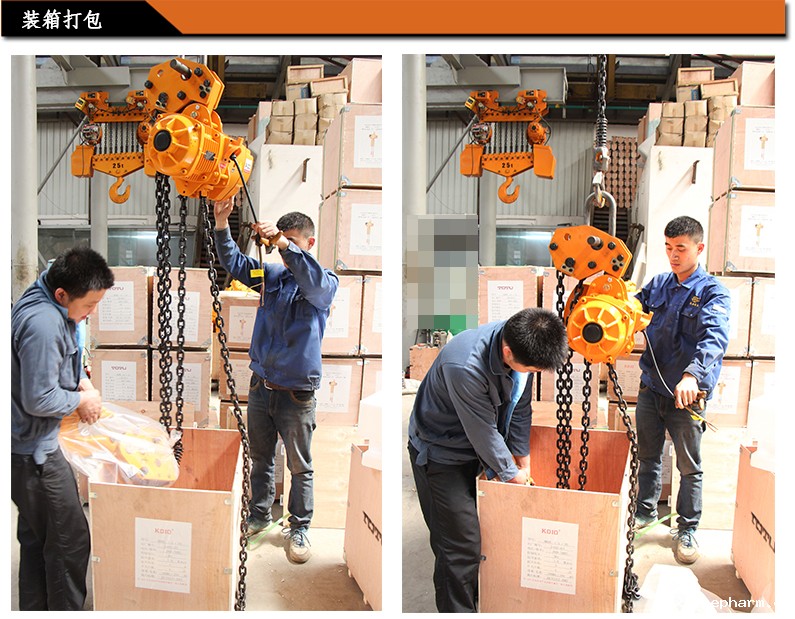 电动葫芦装箱