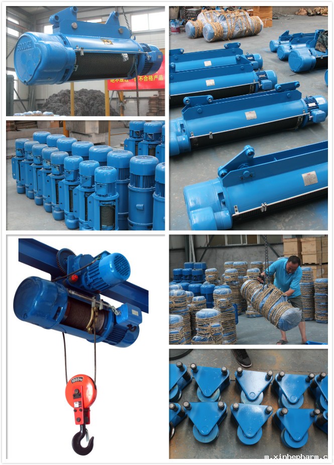 钢丝绳电动葫芦