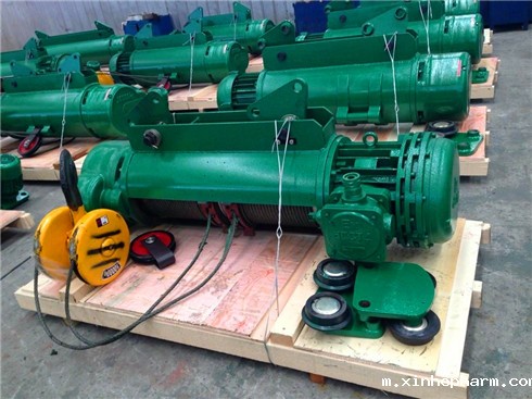 钢丝绳电动葫芦