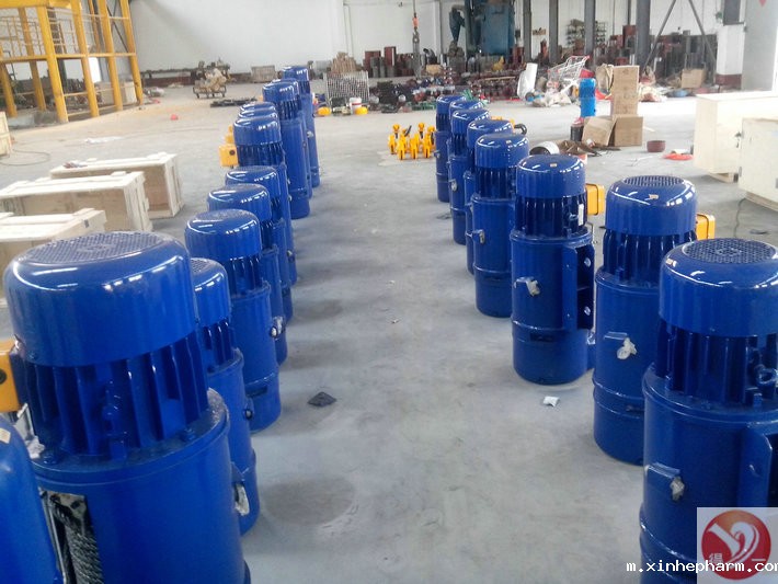 电动葫芦厂家-河北xinhepharm起重