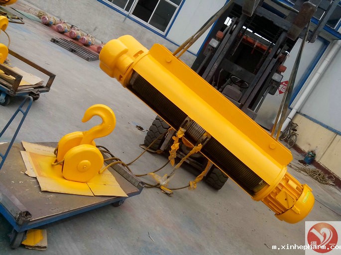 钢丝绳电动葫芦