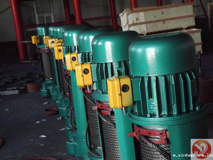 钢丝绳电动葫芦