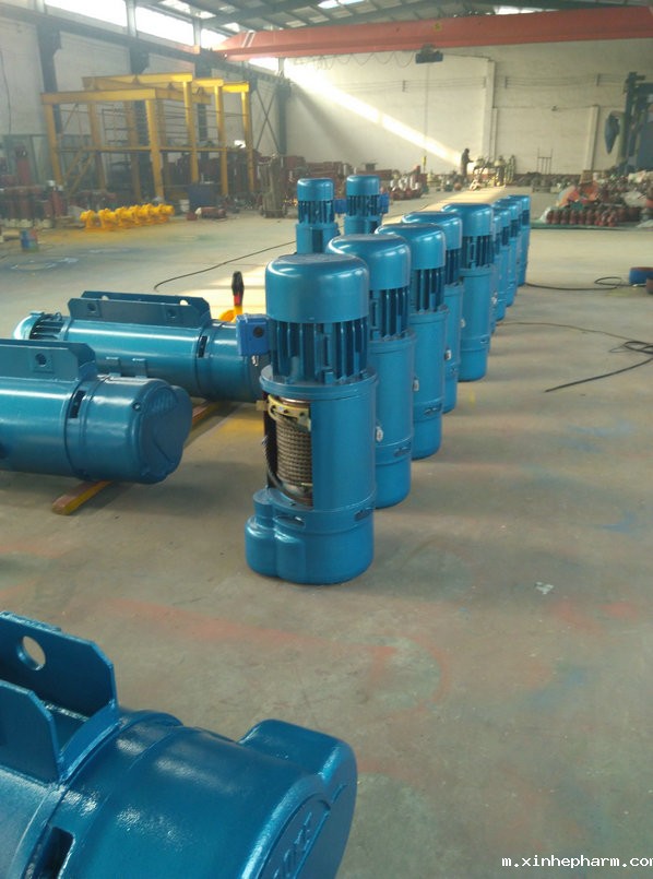 钢丝绳电动葫芦